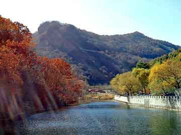 新澳天天开奖资料大全旅游团，惊悚旅店